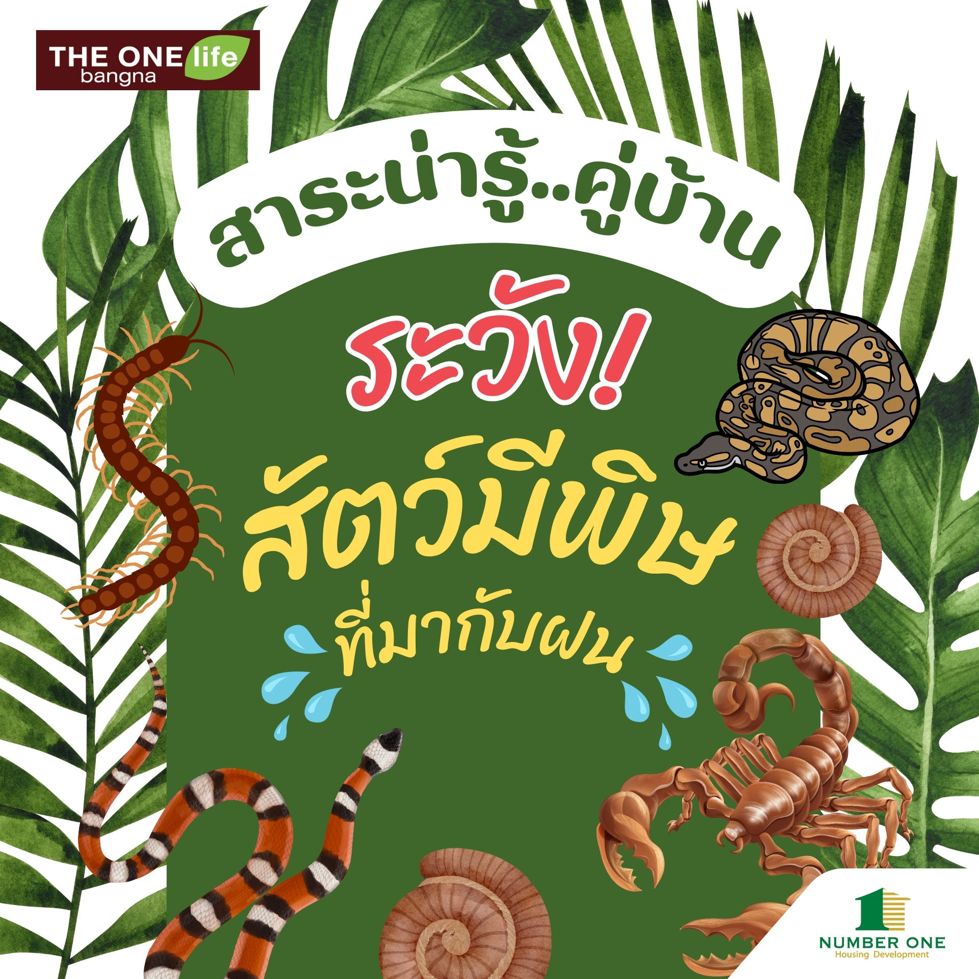 ระวังสัตว์มีพิษช่วงหน้าฝน