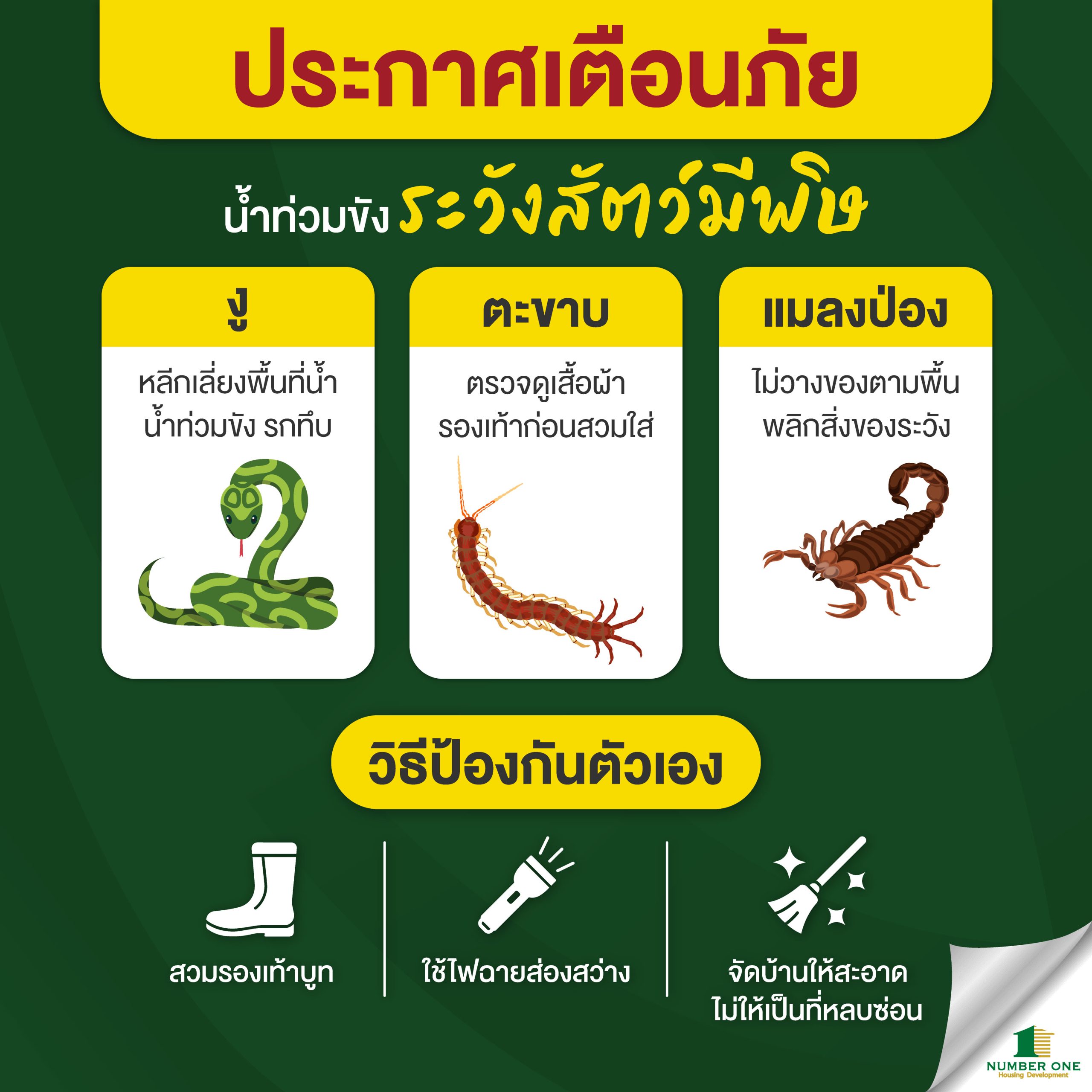 ฝนตกน้ำท่วมขังอย่าลืมระวังสัตว์มีพิษแอบเข้าบ้าน-ok